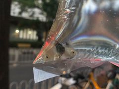 -华声天桥民俗文化园