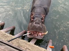 -杭州野生动物世界