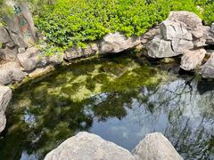 -济南大明湖景区