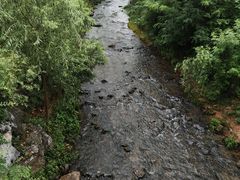 -羊山湖公园