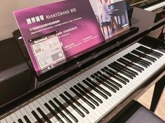 -雅歌音乐培训中心·钢琴培训·乐器培训(交道口店)