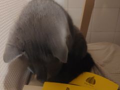 -春笙食堂.丼饭拉面寿司(GOGO新天地店)