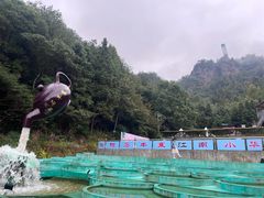 -浏阳石牛寨风景区