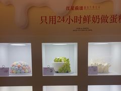 -红星前进面包牛奶公司(君太店)