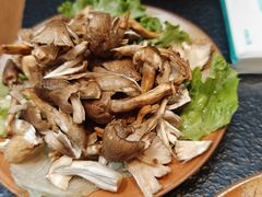 -菌自由丨野生菌火锅特色庭院餐厅(丽江古城店)