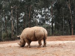 -云南野生动物园