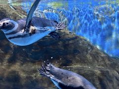 -沈阳海洋探索中心