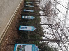 -武汉紫薇都市田园