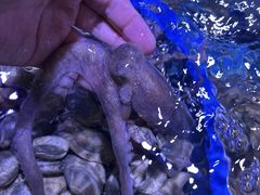 -渔民船说·北塘海鲜·天津菜·海肠捞饭(北塘古镇店)