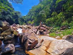 -姑婆山旅游区