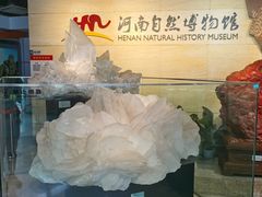 -河南自然博物馆