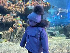 -沙沙哗啦海洋馆(华宇百花谷店)