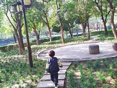 -木塔寺遗址生态公园