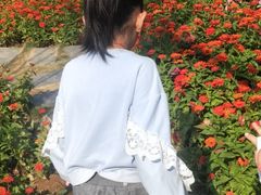 -汉江湾体育公园