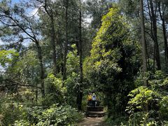 -重庆雨台山风景区