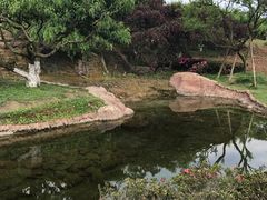-秀丽东方