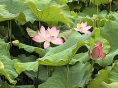 -丝绸小镇荻港古村