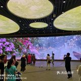 为中国馆增加了一些灵气和动感
