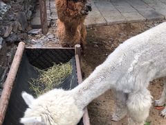 -西部长青自然儿童乐园