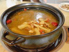 -蘑统田下·野生菌火锅