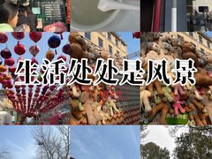 -老磁器口豆汁店(天坛店)