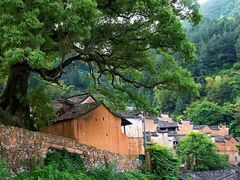 -杨家堂村