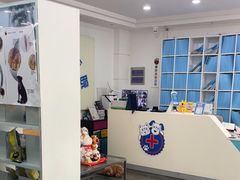 -暖阳宠物医院·犬猫康复中心·骨科