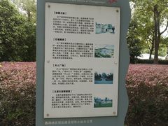 -长广溪湿地公园