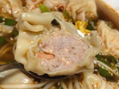-熊大爷现包饺子(和平里店)