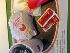 -麦当劳(新新大道岗丰店)