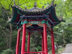 -王顺山国家森林公园