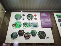 -北京中医药大学-中医药博物馆
