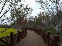 -贵阳市花溪国家城市湿地公园