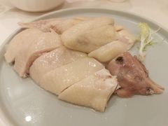 -渔意楼·驰名沙田乳鸽(五羊旗舰店)