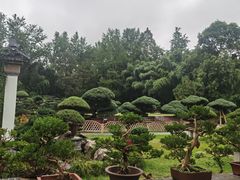 -水绘园