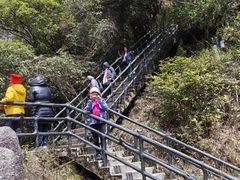 -小洲村