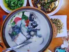 -全乐鱼馆·淳牌有机鱼直营店