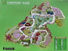 -天适樱花悠乐园