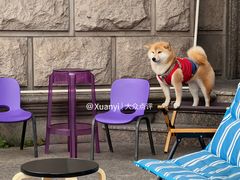 -HANA COFFEE(长寿路店)