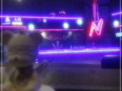 -枫花园汽车电影院(朝阳公园店)
