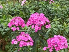 -黑龙江省森林植物园