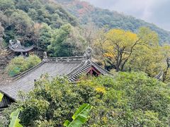 -韬光茶庵
