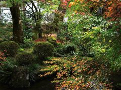 -三千院