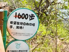 -大岭沟猕猴桃谷风景区