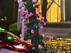 -正佳雨林生态植物园