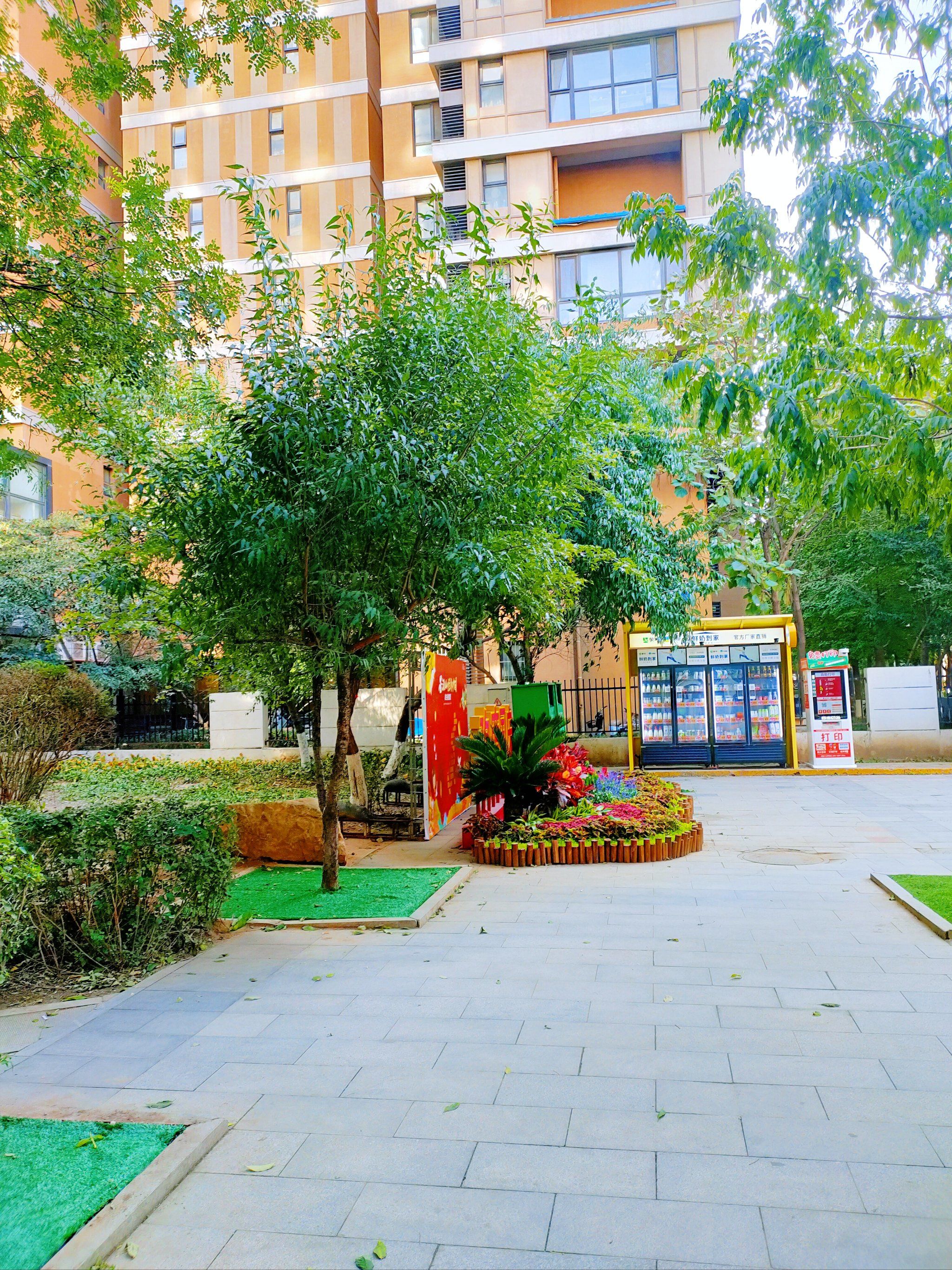 小区里的绿色生活 悠闲的下午