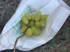 -马陆小张葡萄园农家乐