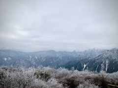 -卧龙自然保护区