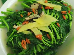 蚝汁西洋菜-蚝家菜馆(沙井店)