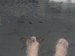 -威海天沐度假区温泉